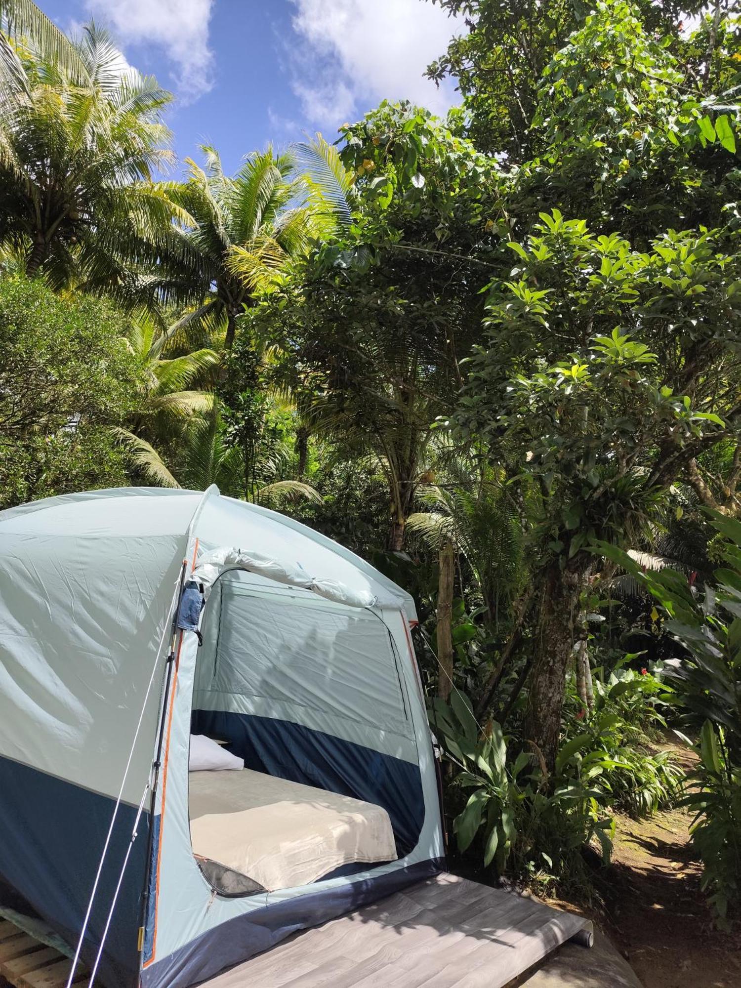 Camping A La Ferme Gros-Morne エクステリア 写真