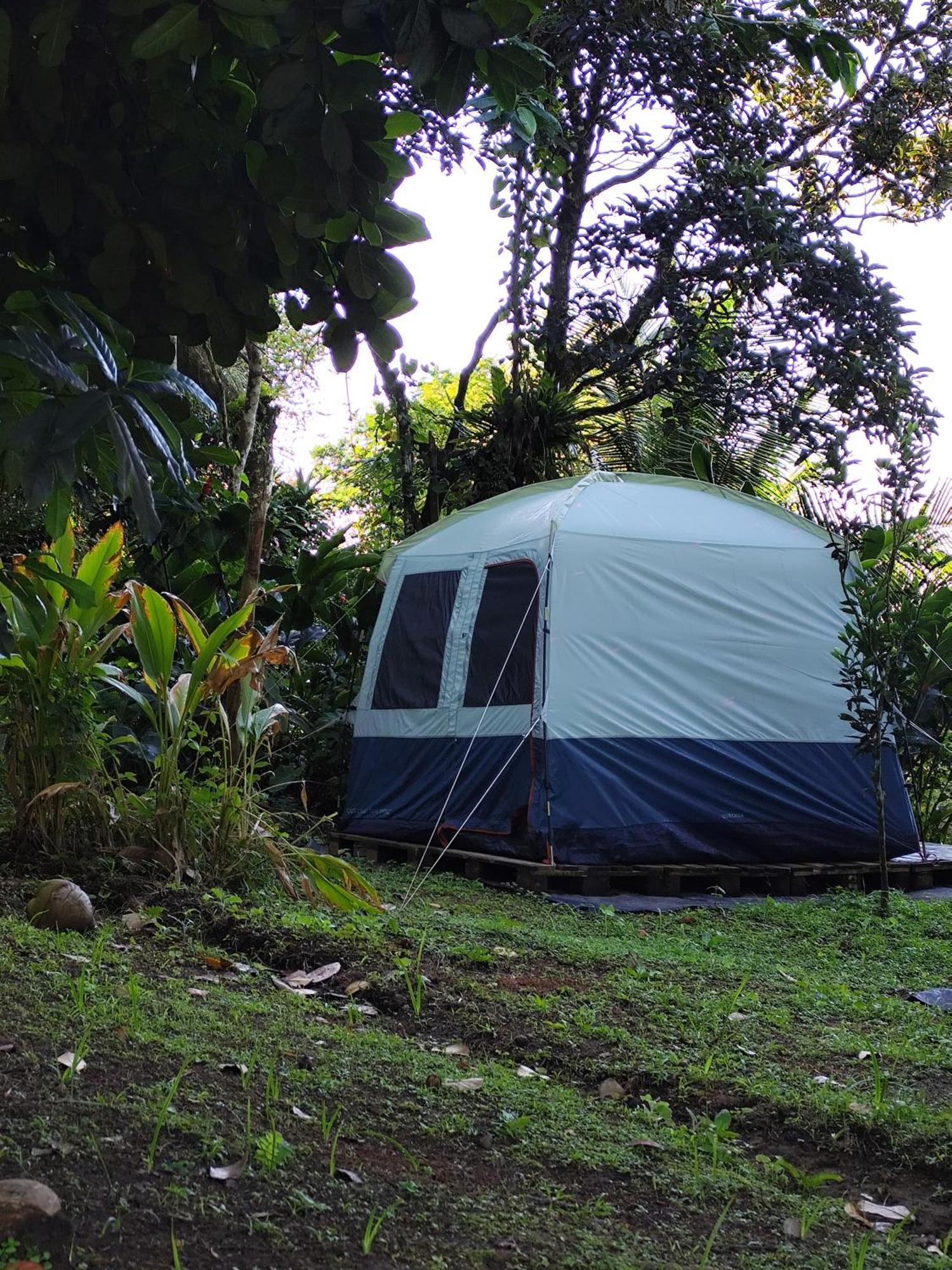 Camping A La Ferme Gros-Morne エクステリア 写真