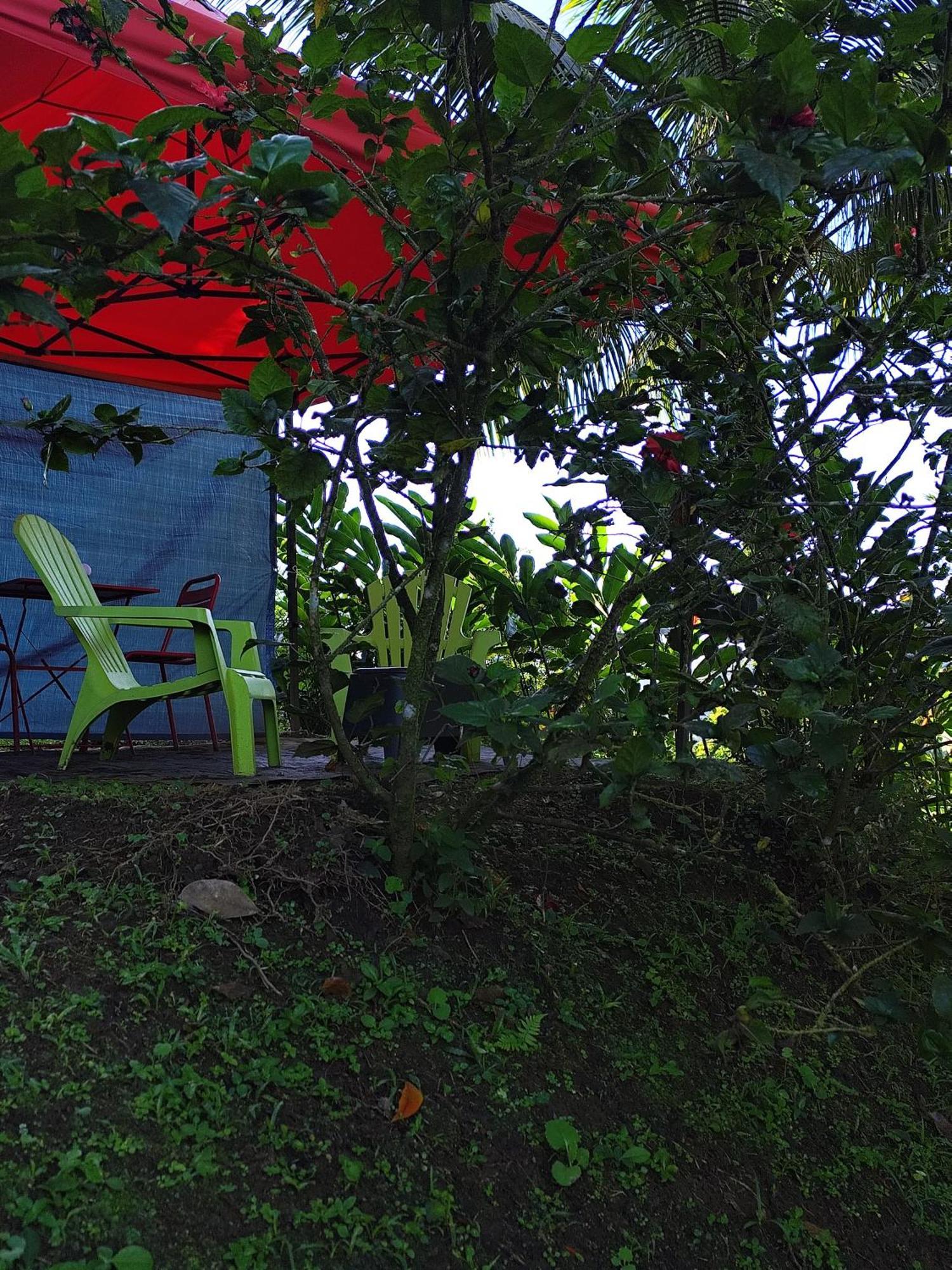 Camping A La Ferme Gros-Morne エクステリア 写真